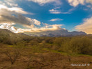 photo thumbnail #6