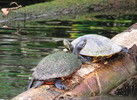 photo thumbnail #15