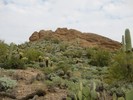 photo thumbnail #12