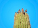 photo thumbnail #13