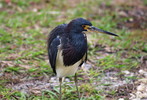 photo thumbnail #3