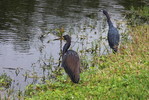 photo thumbnail #7