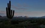 photo thumbnail #4