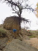 photo thumbnail #5