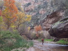 photo thumbnail #3