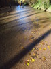 photo thumbnail #15