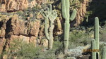 photo thumbnail #2