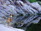 photo thumbnail #1