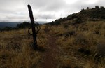 photo thumbnail #5