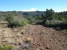photo thumbnail #12