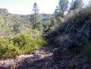 photo thumbnail #13