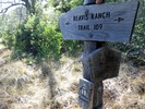 photo thumbnail #15