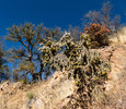 photo thumbnail #9