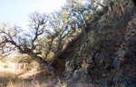 photo thumbnail #11