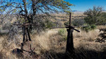 photo thumbnail #15