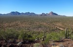 photo thumbnail #3