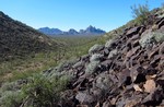 photo thumbnail #7