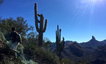 photo thumbnail #3