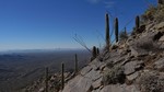 photo thumbnail #6