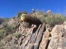 photo thumbnail #5