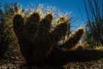 photo thumbnail #1