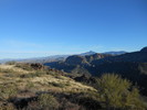 photo thumbnail #2