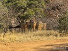 photo thumbnail #14