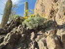 photo thumbnail #2