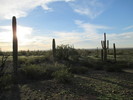 photo thumbnail #5