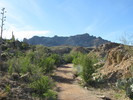 photo thumbnail #2