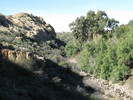 photo thumbnail #7