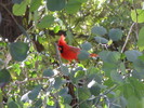photo thumbnail #12
