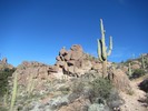 photo thumbnail #3