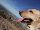 photo thumbnail #1