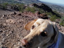 photo thumbnail #2