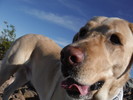 photo thumbnail #3