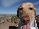 photo thumbnail #4