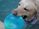 photo thumbnail #9