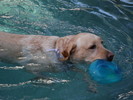 photo thumbnail #10