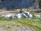 photo thumbnail #11