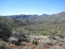 photo thumbnail #4