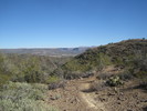 photo thumbnail #6