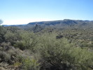 photo thumbnail #7
