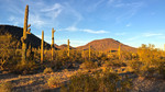 photo thumbnail #11