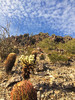 photo thumbnail #1