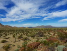 photo thumbnail #1