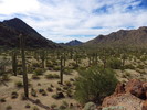 photo thumbnail #3