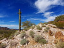 photo thumbnail #7