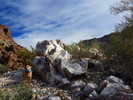 photo thumbnail #8