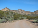 photo thumbnail #1